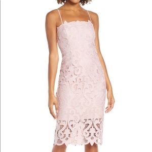 Still in store! Blush Bardot Lace Sheath Dress